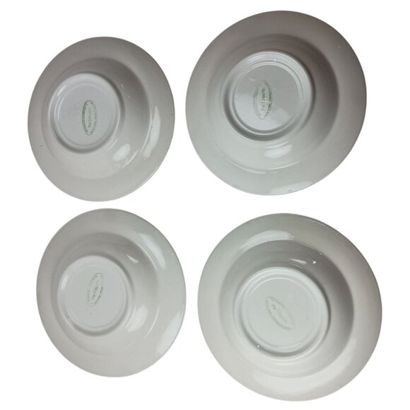 4 Pier 1 Imports Hand Painted 9" Pasta Soup Bowls Made In Italy - Picture 2 of 3